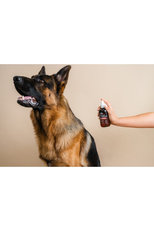 Ref Stockholm Furry Frıends Spray Condıtıoner 250