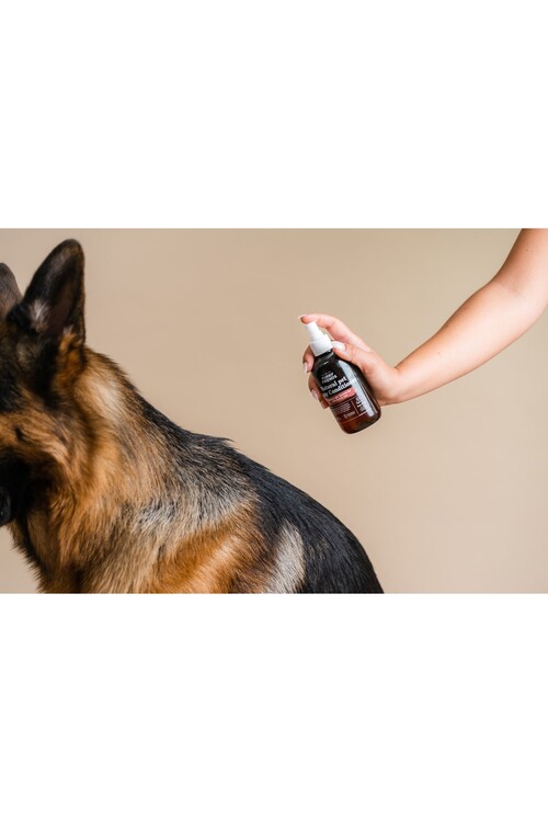 Ref Stockholm Furry Frıends Spray Condıtıoner 250