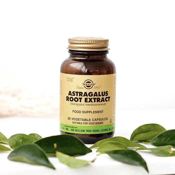 Solgar Astragalus Root Extract 60 Kapsül