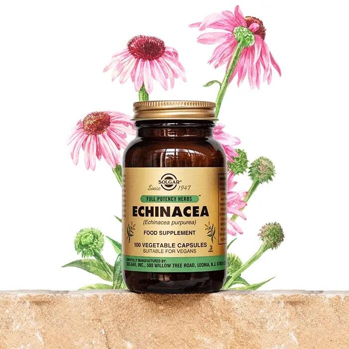 Solgar Echinacea 100 Kapsül