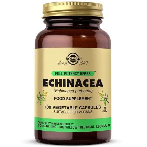 Solgar - Solgar Echinacea 100 Kapsül