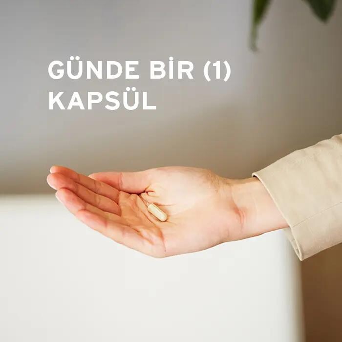 Solgar Gentle Iron 17 mg 90 Kapsül