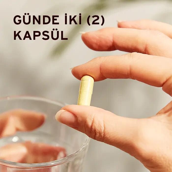 Solgar Quercetin Complex + Ester-C Plus 50 Kapsül