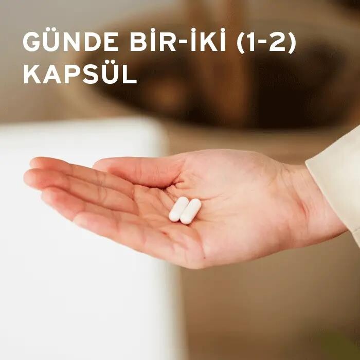 Solgar Resveratrol 60 Kapsül