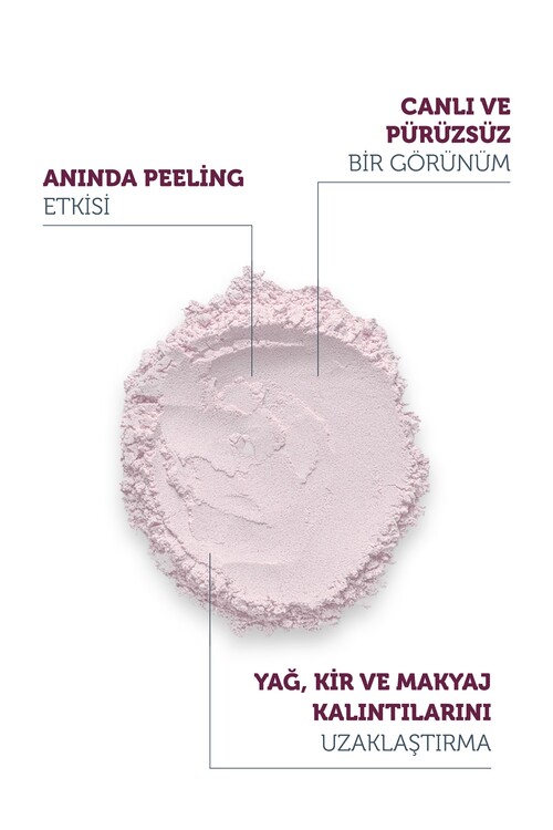 The Purest Solutions Arındırıcı powder 55gr